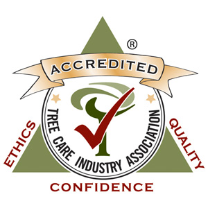 accr-certification