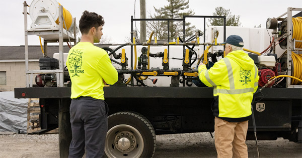 About Tree King Tree Services, Inc. | Pataskala and Central Ohio